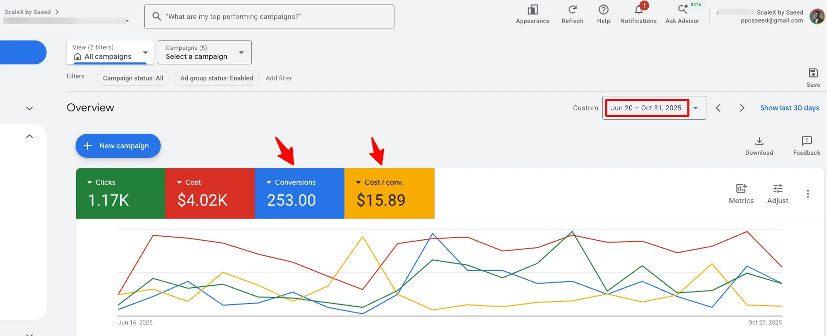Google Ads dashboard overview showing 253 conversions at $15.89 cost per lead